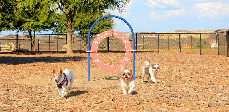 Big Oaks Private Dog Park In Buda, TX