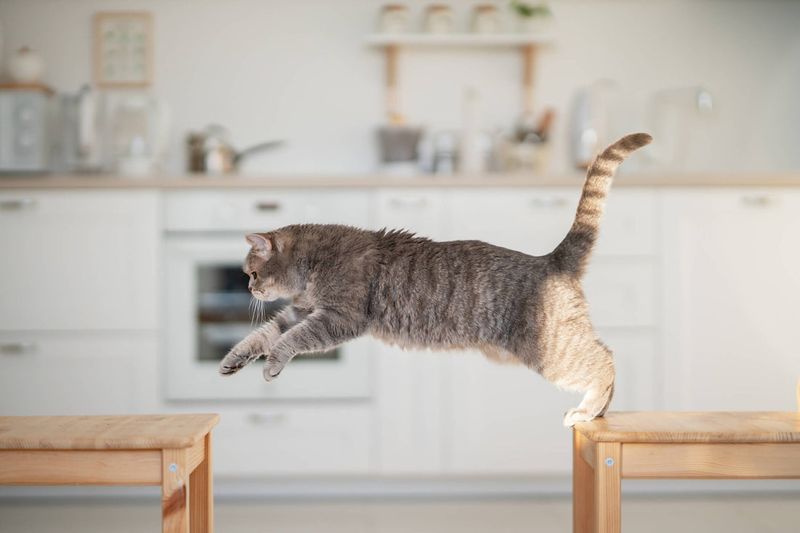 Good Mobility And Posture
