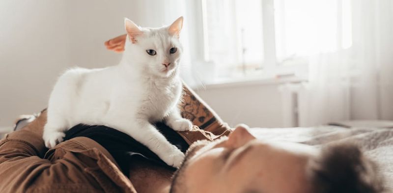 Kneading On You