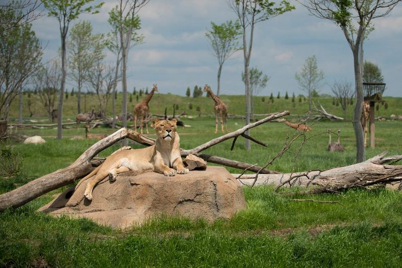 Columbus Zoo And Aquarium – Powell, OH