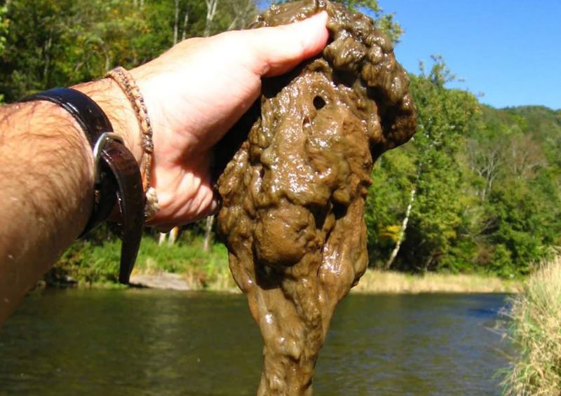 Didymo (Rock Snot): The Stream Suffocator