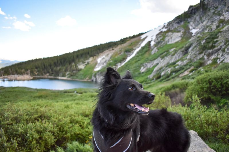 Colorado