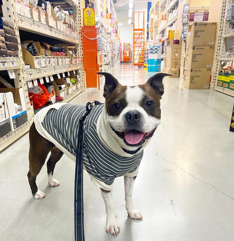 Pet-Friendly Retailers