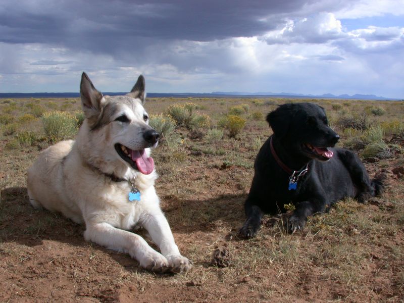 Albuquerque, New Mexico