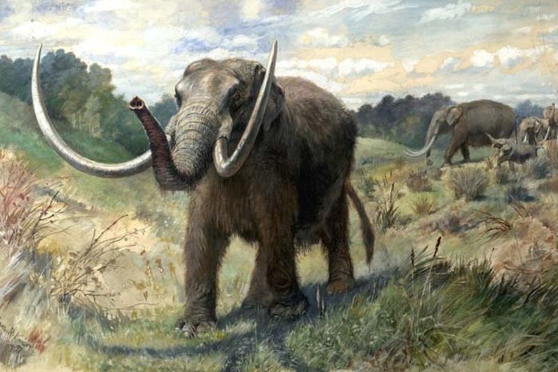 Mastodon