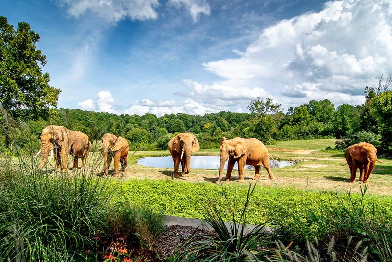North Carolina Zoo – Asheboro, NC