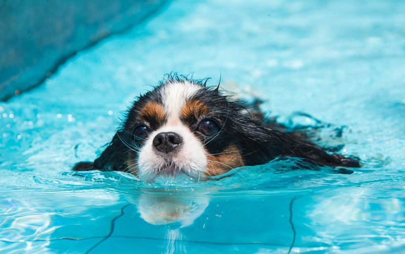 Swimming (In A Safe Indoor Pool Or Tub)