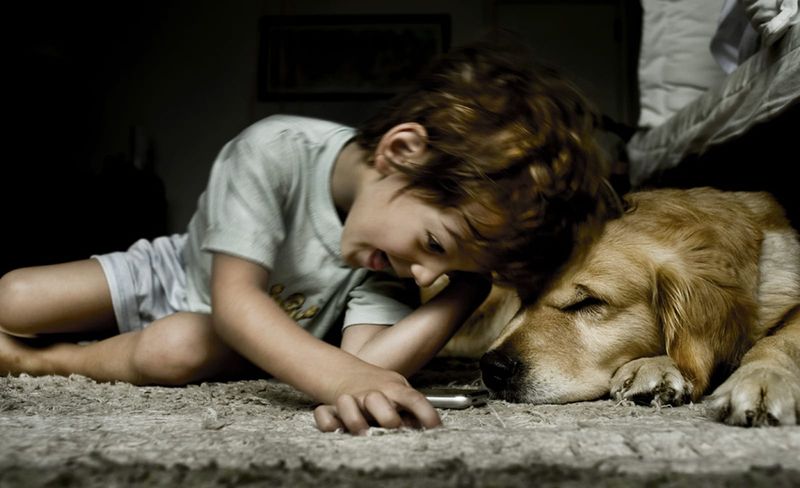 It's A Great Way To Teach Kids Empathy