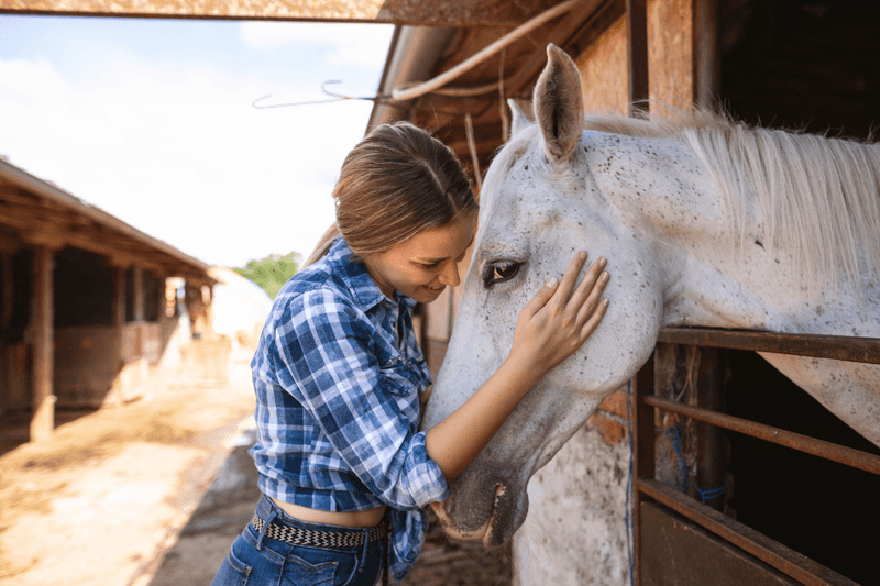 Horses