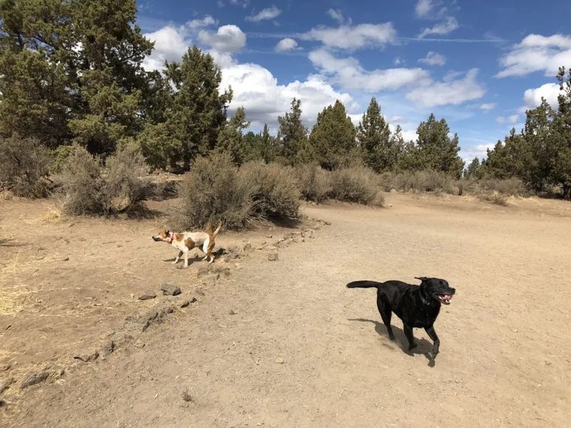 Pine Nursery Park – Bend