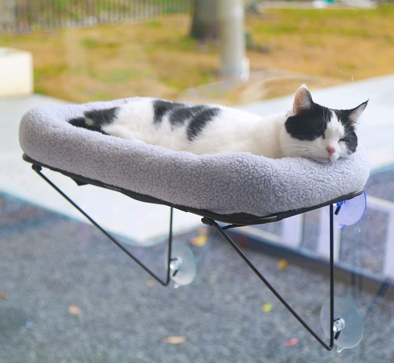 Sunbathing Opportunities