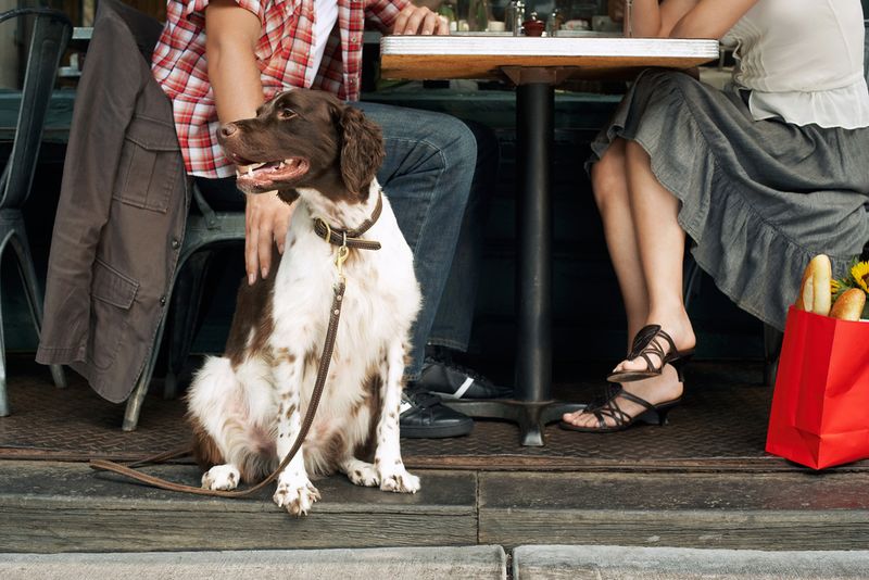 Perfectly Happy To Hang Out In Cafes