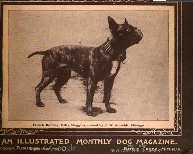 Fact #5: They Have A Long History Dating Back To The 1800s