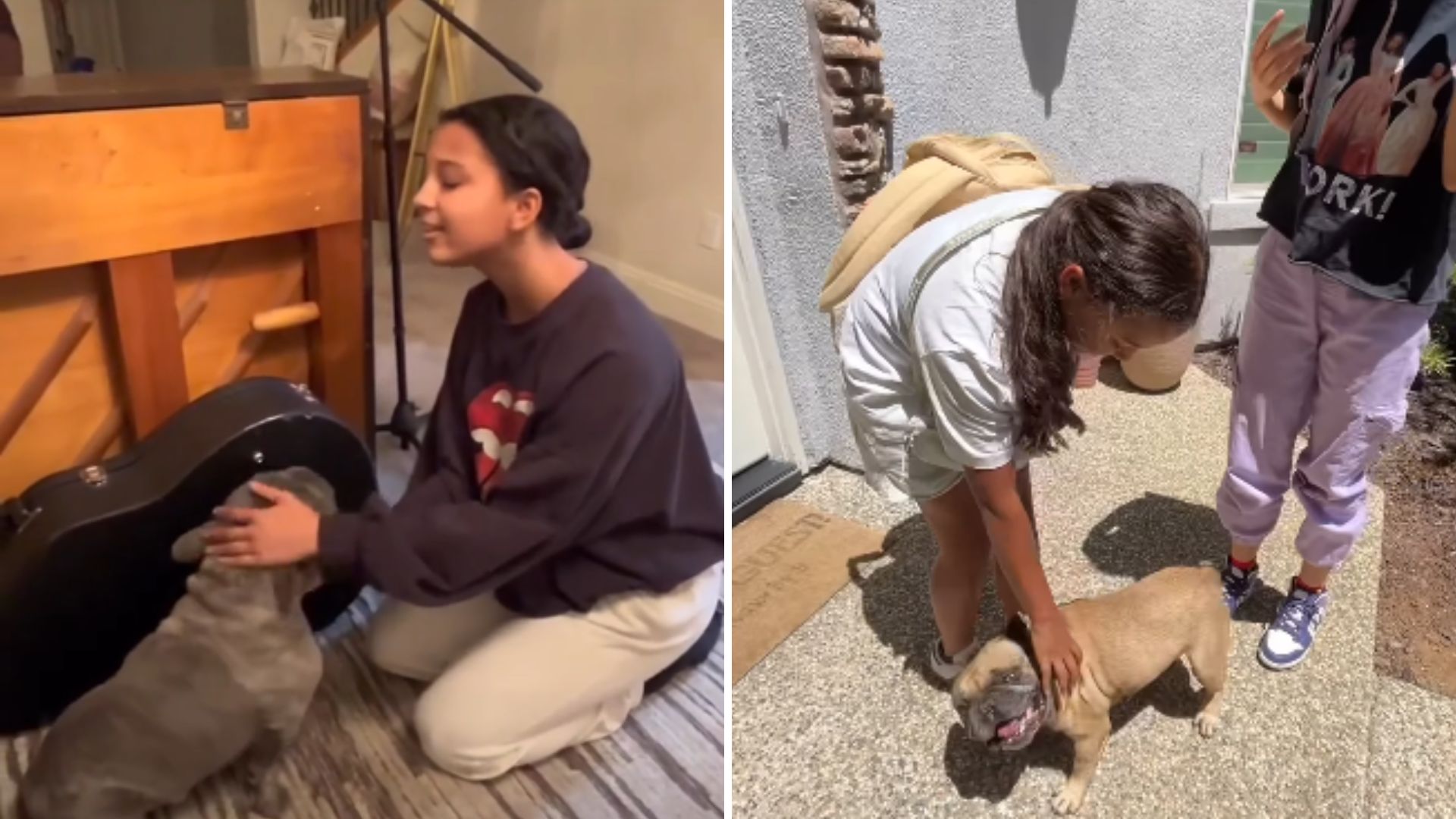 family and dog