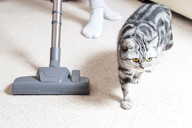 Vacuum Cleaners