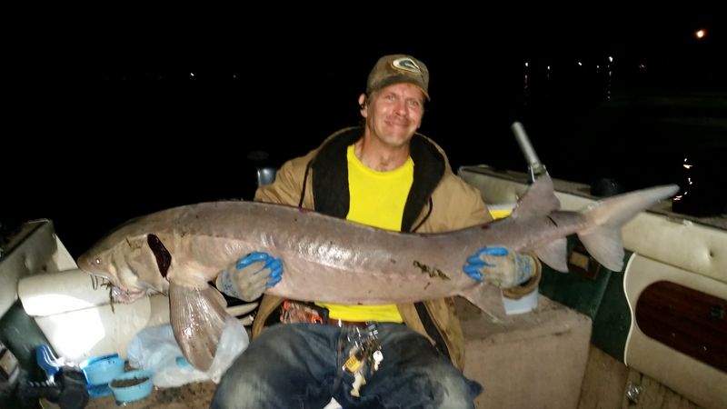 Lake Sturgeon – 193 lbs (Michigan, 1974)