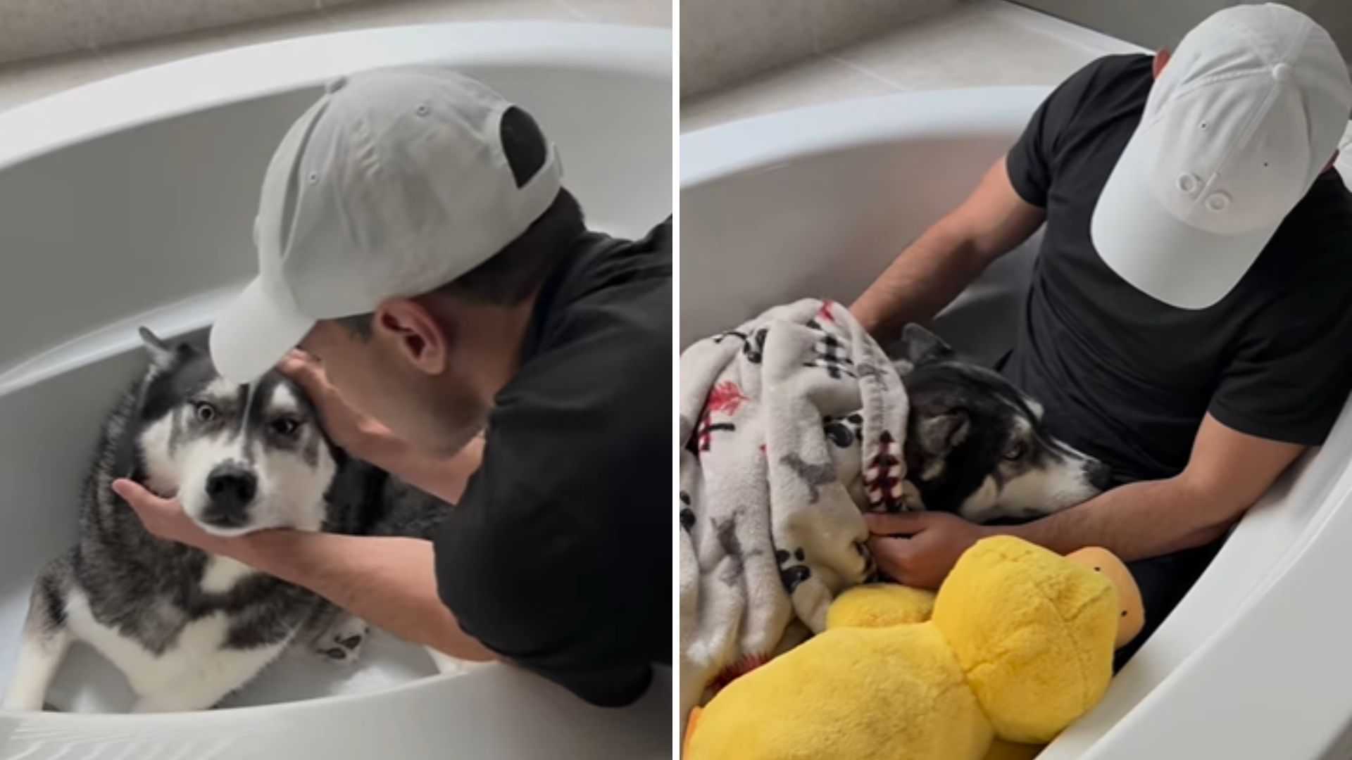Florida Family Searches For Lost Husky After Storm And Finds A Shocking Surprise