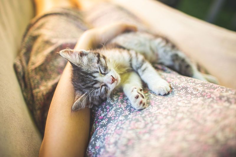 Sleeping On You Or Near You