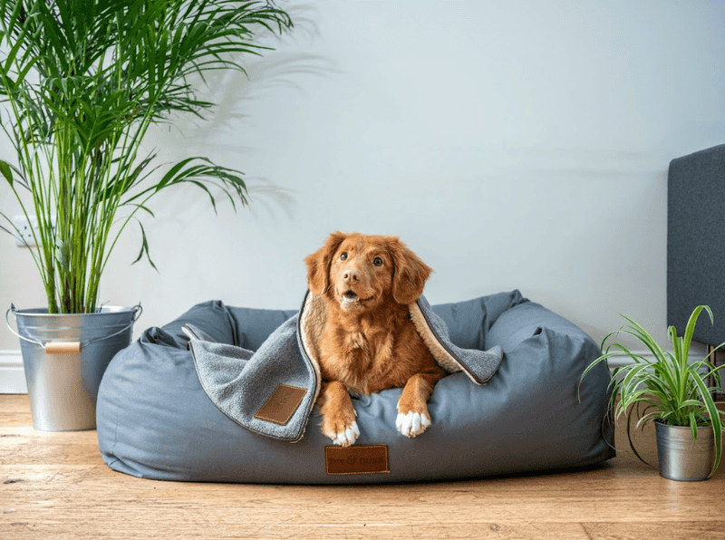 Proper Rest And Comfortable Sleeping Areas