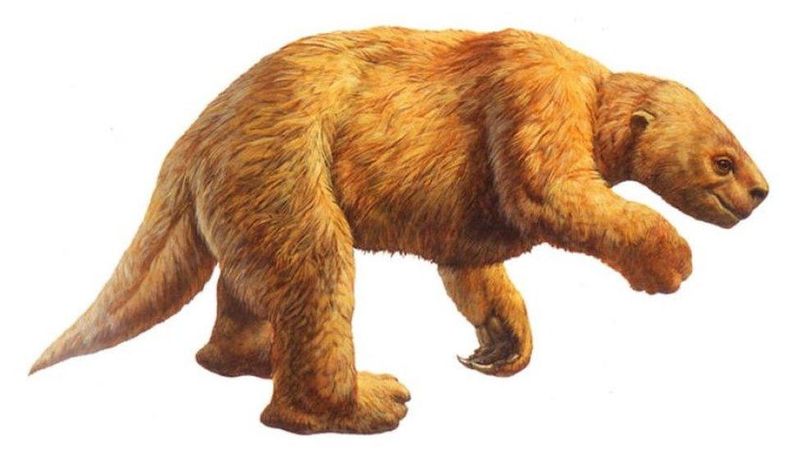 Harlan's Ground Sloth
