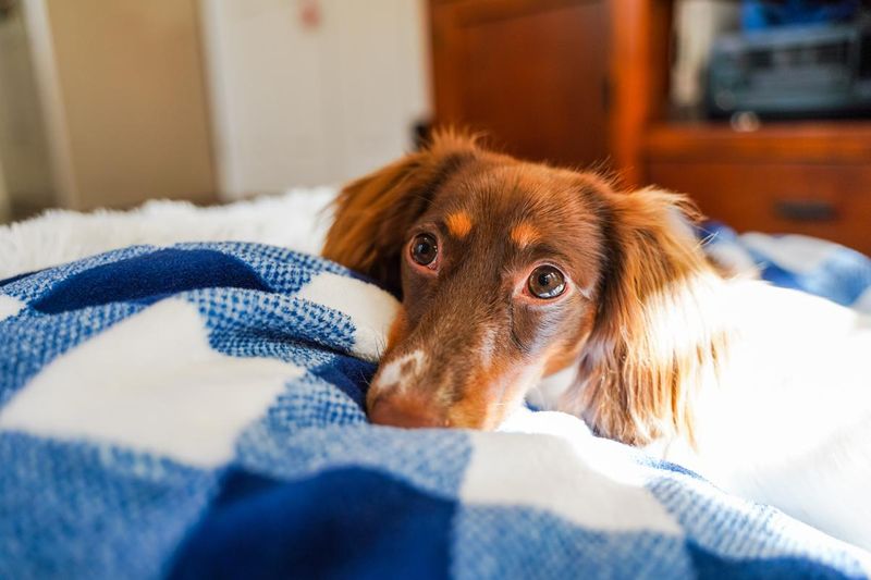 Snuggling Up To You When It's Cold