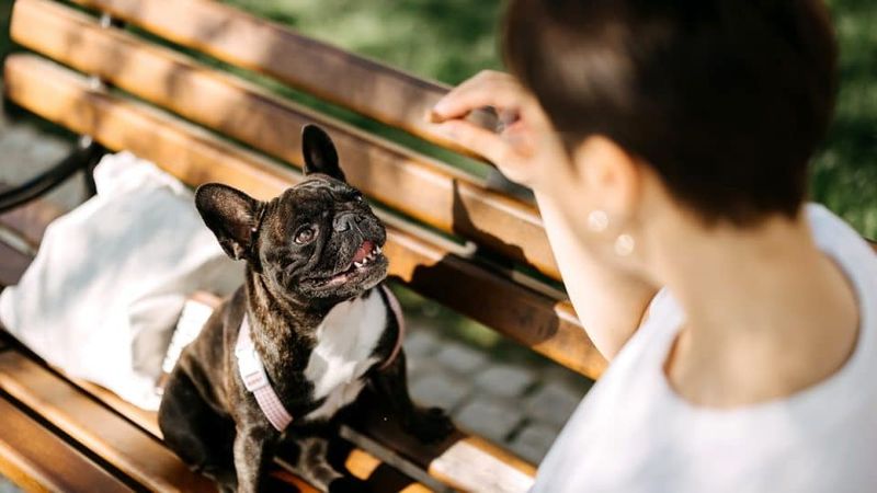 Repeated Exposure Helps Reduce Fear Over Time