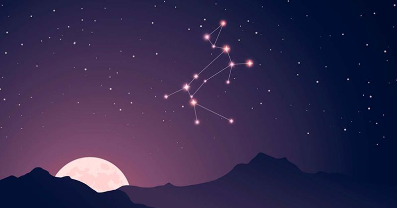 Star Dogs In The Night Sky