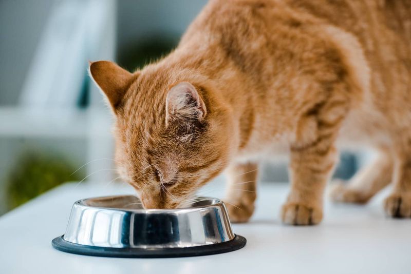 Appetite And Eating Habits