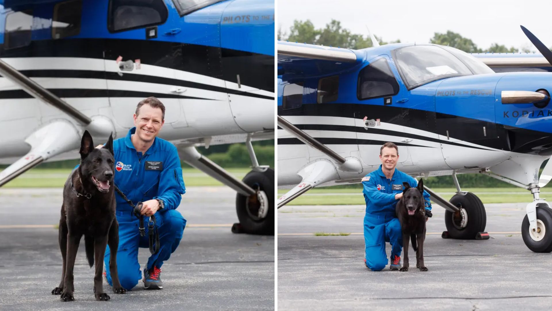 pilot and dog