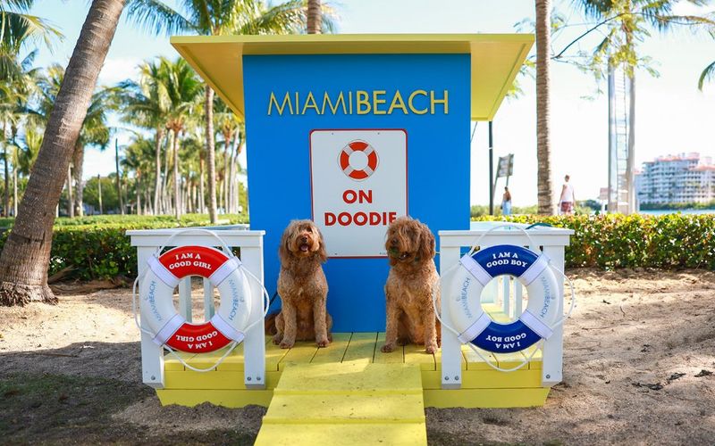 A Thriving Pet-Centric Culture In Miami
