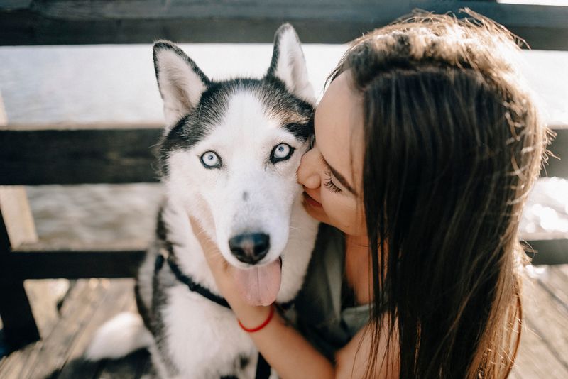 The Husky's Appeal To Younger, Active Californians