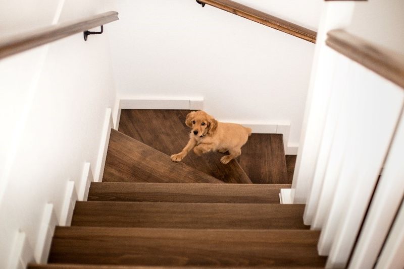 Stair Climbing