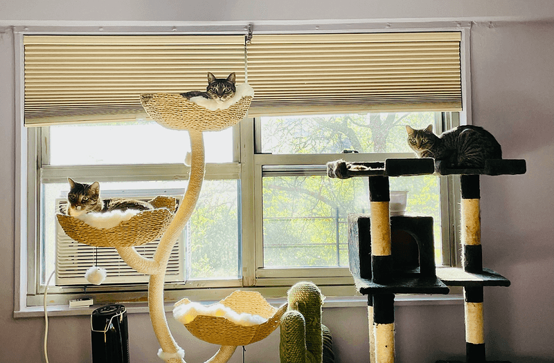 Vertical Spaces For Climbing