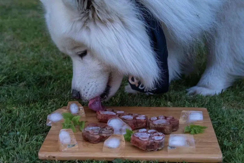 Use Ice Cubes Or Broth For Extra Hydration