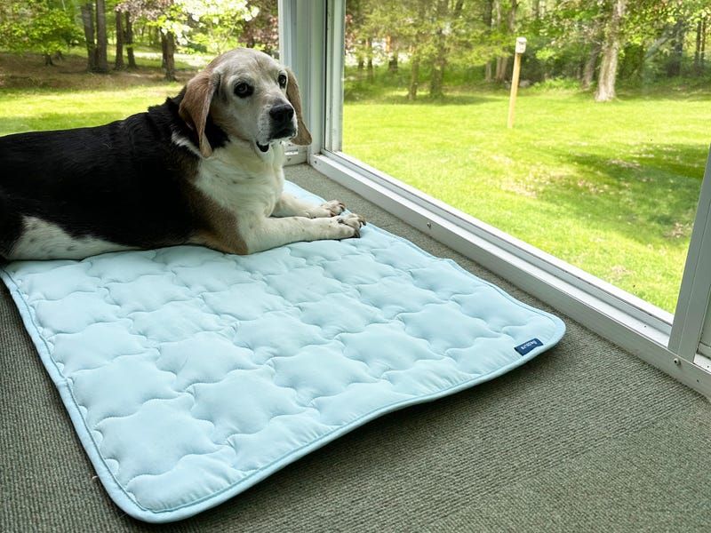 Creating Cool Resting Spots Throughout Your Home