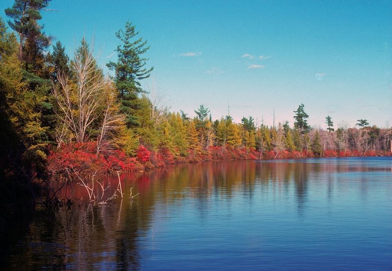 Lake Lacawac (Pennsylvania)