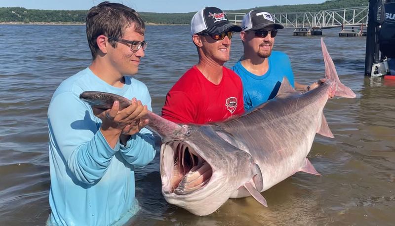 Paddlefish – 164 lbs (Oklahoma, 2021)