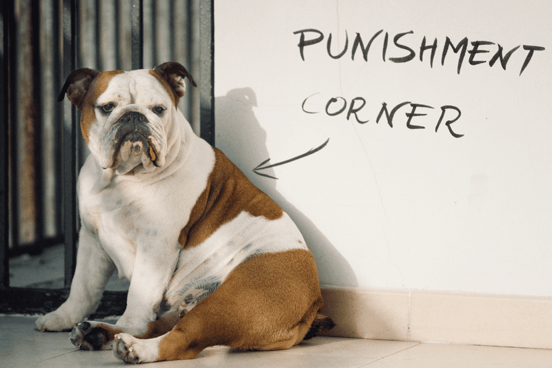 Using Harsh Punishment