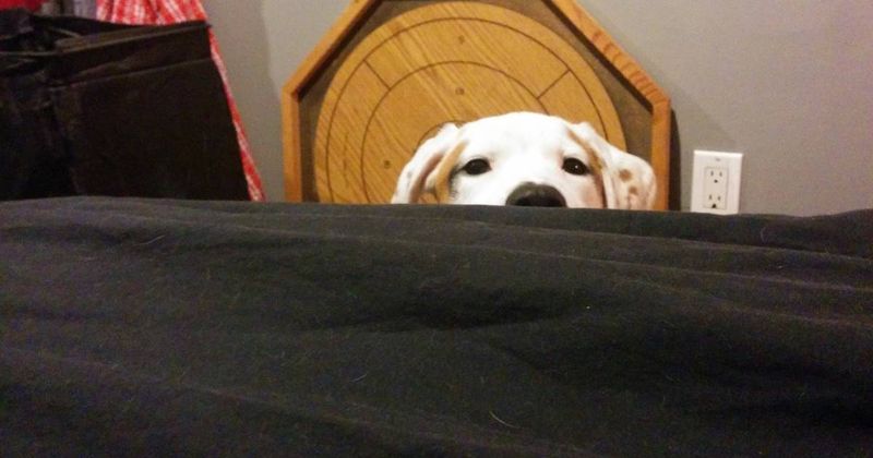 Waiting Patiently For You To Wake Up