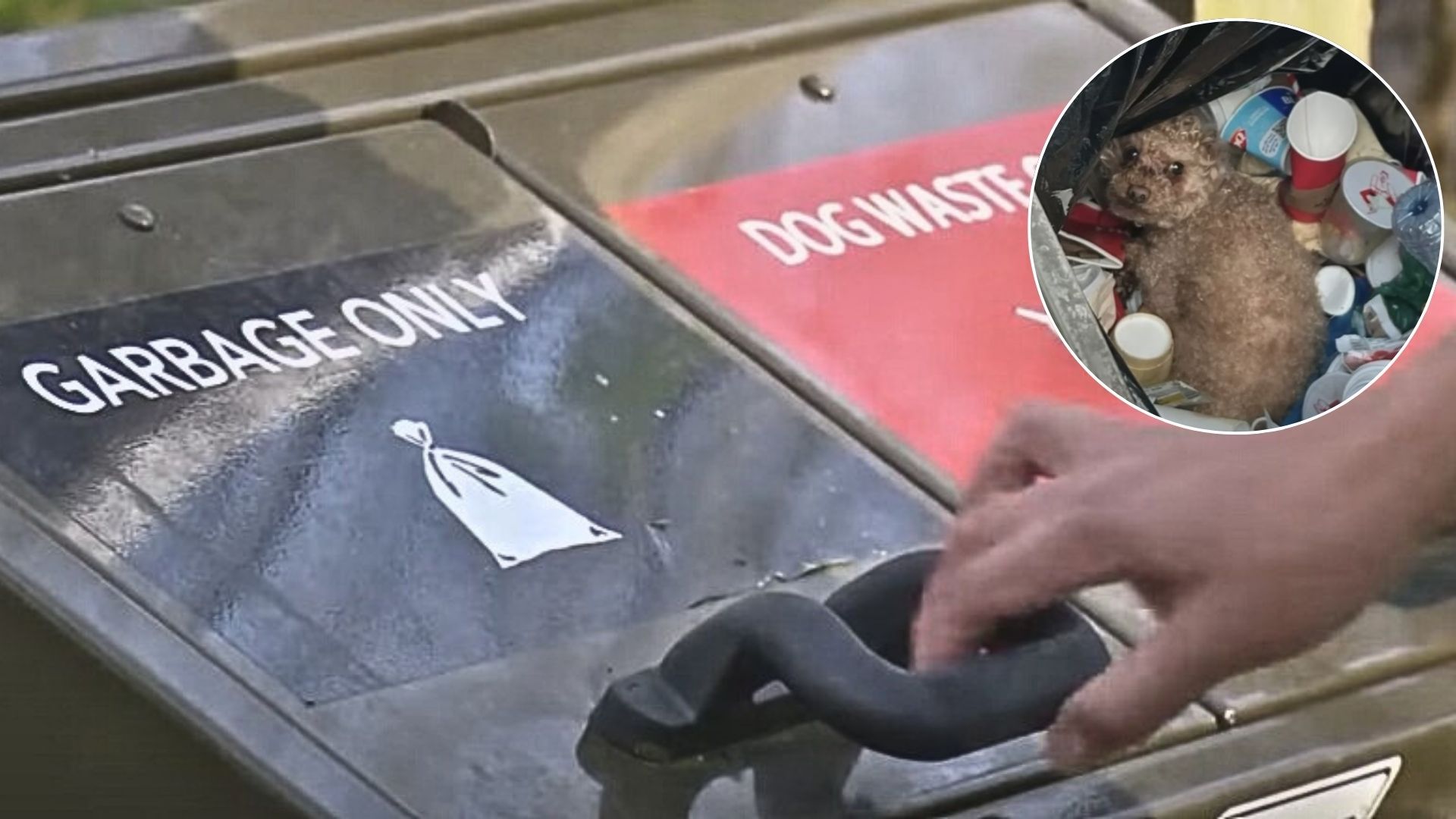 man opening a trash can