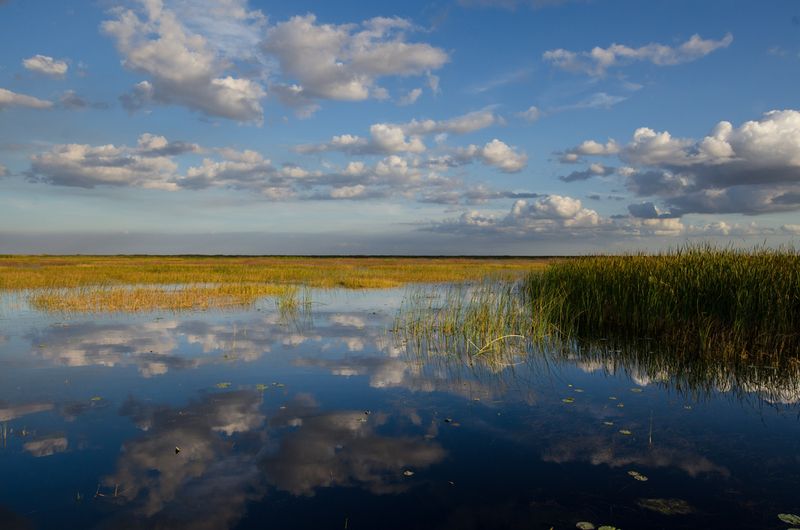Lake Okeechobee (Florida)