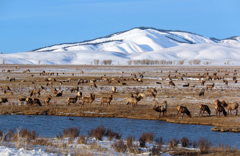Wyoming