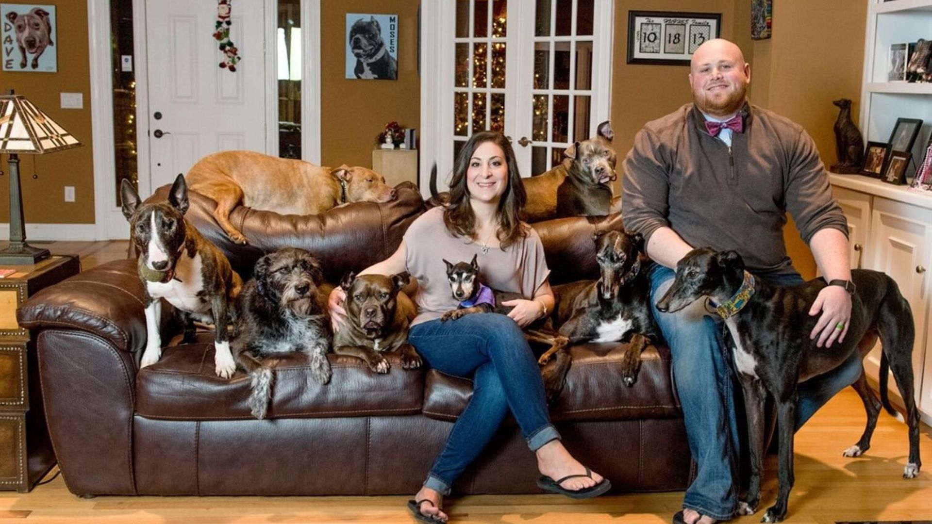 couple and dogs on couch