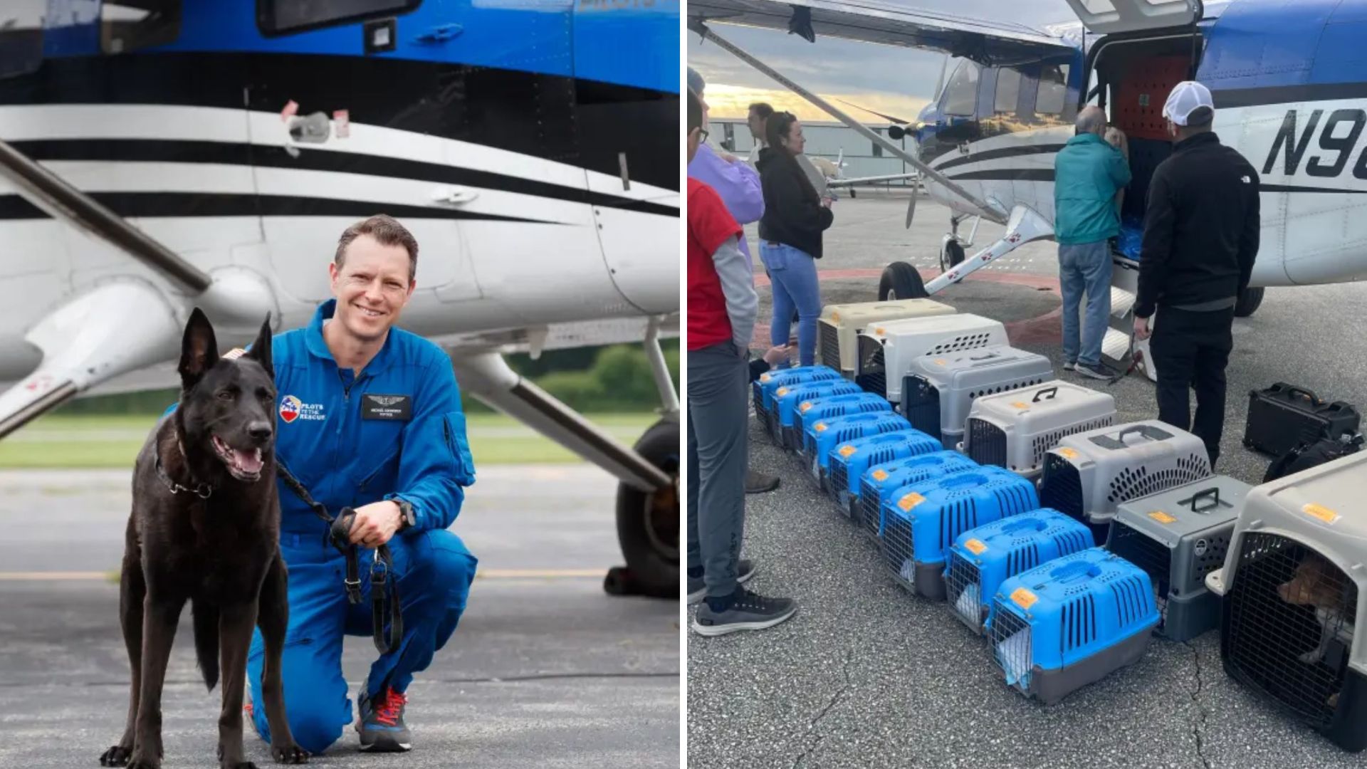 NYC Pilot Fights To Rescue Thousands Of Neglected And Homeless Animals