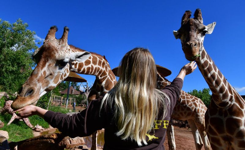 Cheyenne Mountain Zoo – Colorado Springs, CO