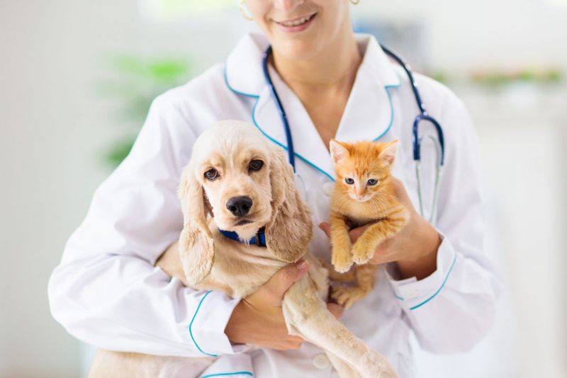 Regular Vet Check-Ups