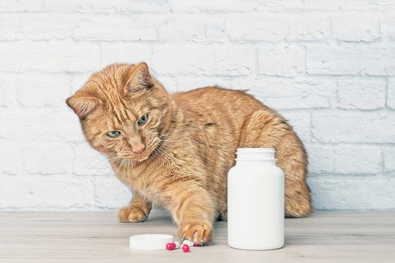 Human Medications