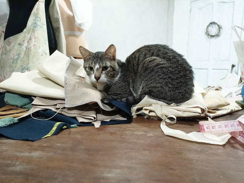 Clutter And Mess