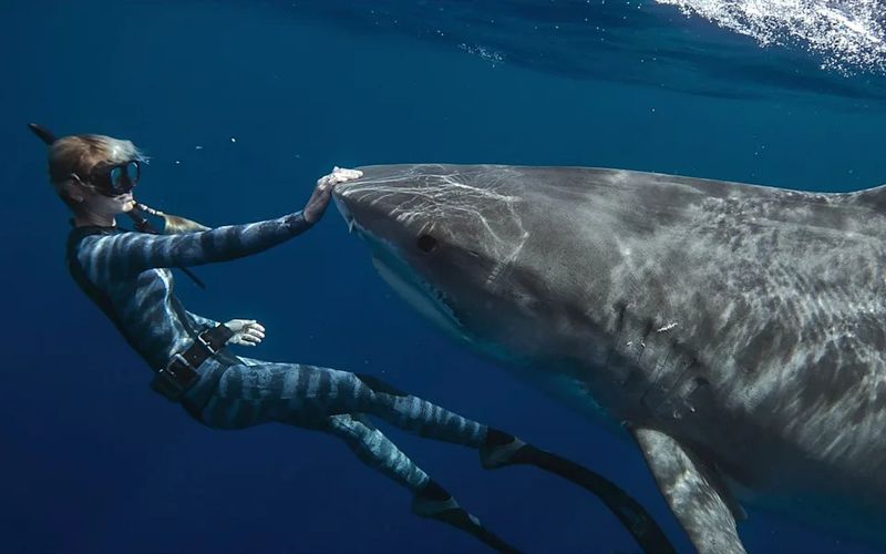Conservation Connection Creates Purpose