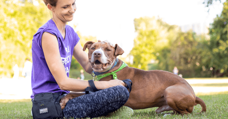 Vibrant Hipster Pet Community